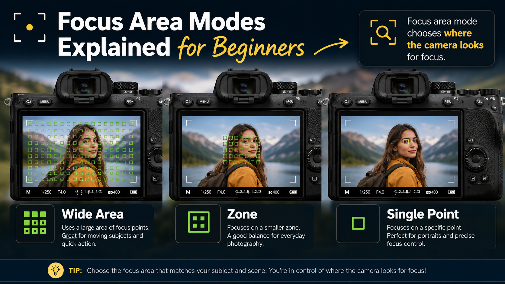 Focus Area Modes Explained for Beginners: Single Point, Zone, Wide & Tracking